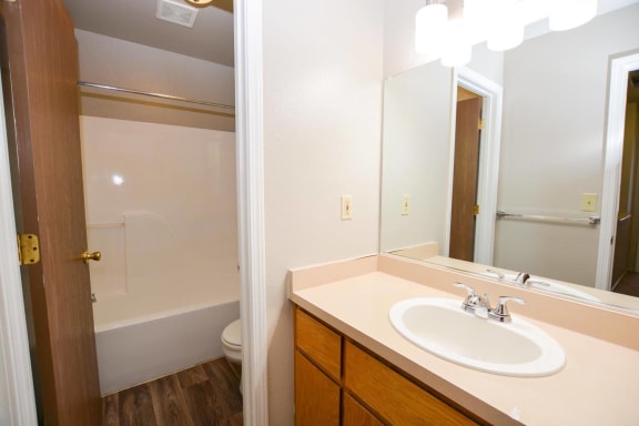 View of Hidden Oaks bathroom