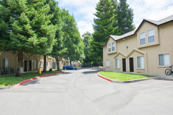 a street view of a row of houses with trees in the background