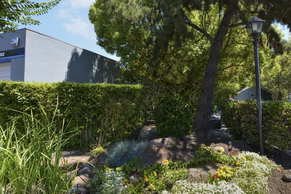 View of landscape at Oakwood Apartments