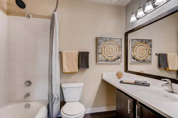 Eagles Landing Interior Apartment Bathroom