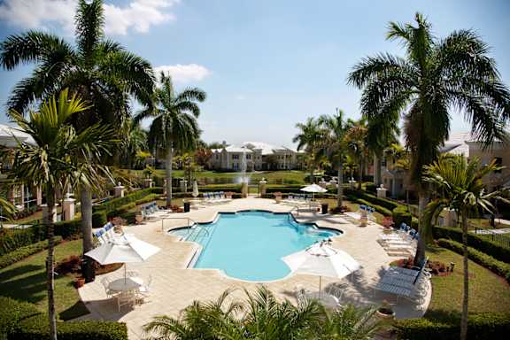 A large swimming pool surrounded by palm trees and lounge chairs.