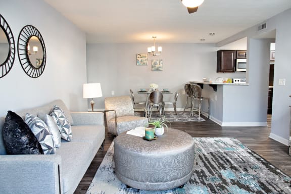 Living room with connected dinning area.