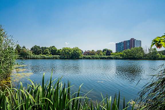 Lake Aquitaine