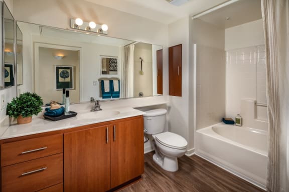 Modern Bathroom at Trio Apartments in Pasadena, CA
