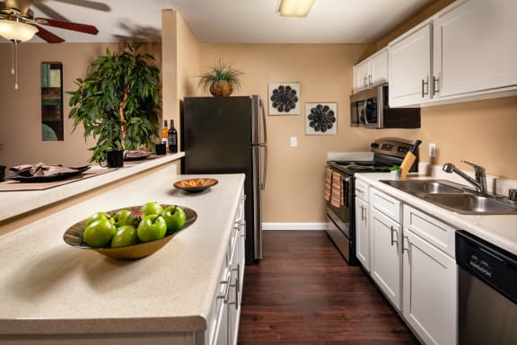 Remodeled Kitchen at Renaissance Terrace, California