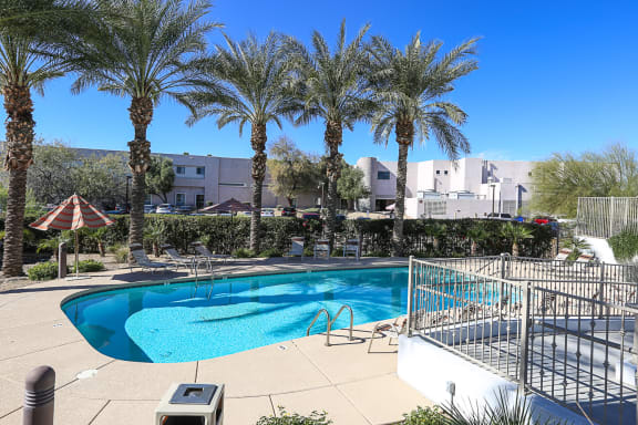 Pool at Villa Contento Apartments in Scottsdale, AZ