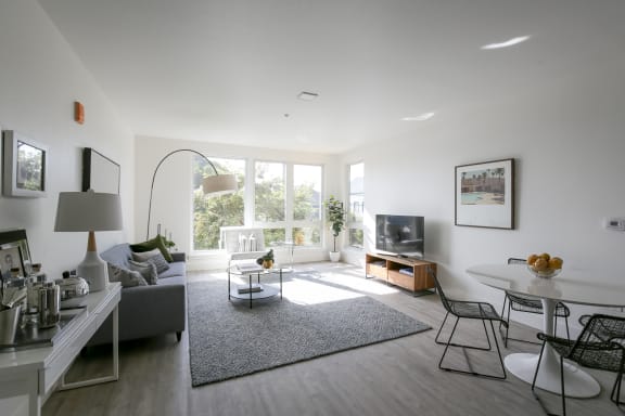 Model Dining/Living view from Kitchen