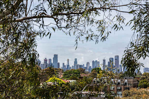 a view of the skyline from a park with trees