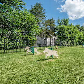 A green lawn with a fence and a blue ball.