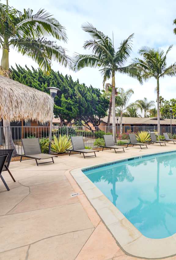 A large swimming pool surrounded by palm trees and lounge chairs.