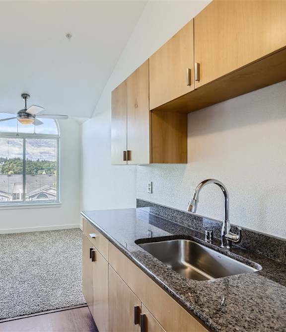 A kitchen with a sink and a window.