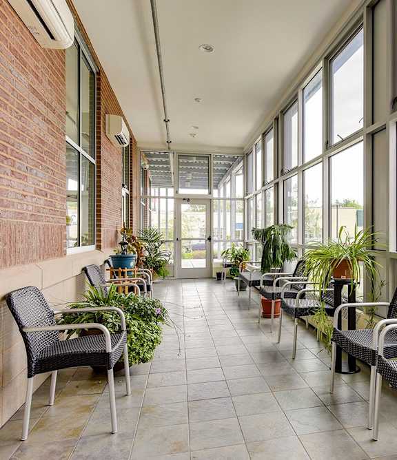 A sunny day in a patio with chairs and plants.