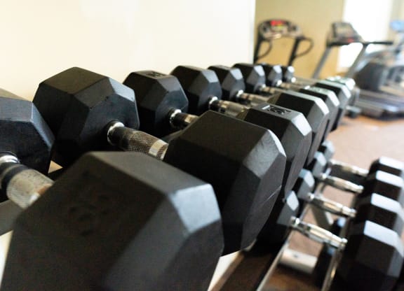 Free Weights at Cypress Pointe Apartments in Orange Park, FL