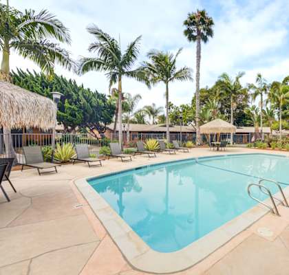 A large swimming pool surrounded by palm trees and lounge chairs.
