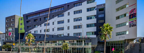 Fusion Hollywood apartments modern building with palm trees in front of it.