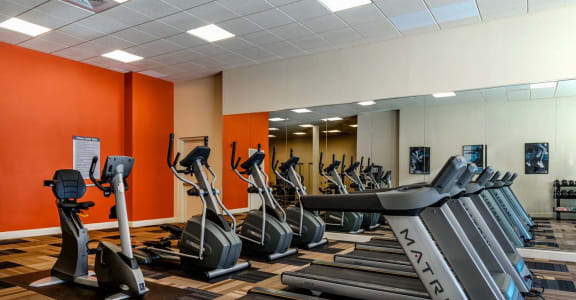 a gym with cardio equipment and a row of treadmills