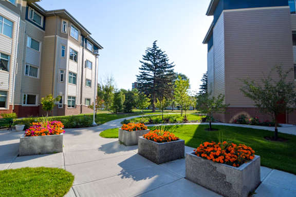 Concrete planters with orange flowers are in the foreground of a sunny courtyard.
