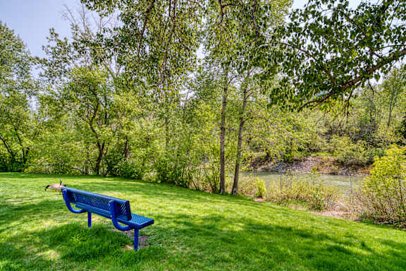 A blue bench sits in a grassy field with trees in the background.
