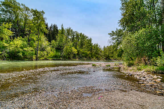 A river with rocks and trees on both sides.