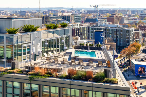 a roof terrace with a pool and plants on top of a building