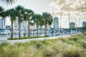Thumbnail 3 of 30 - St. Pete Waterfront