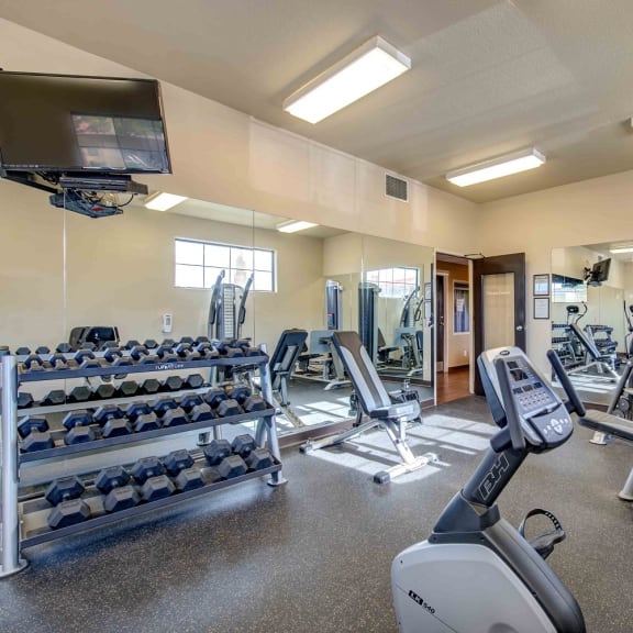 a gym with cardio equipment and weights on the floor