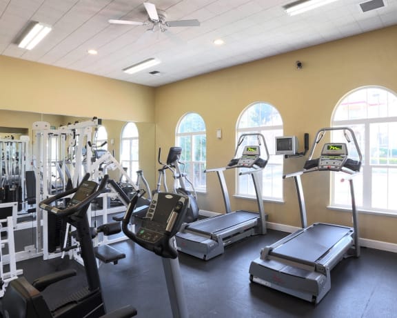 Photo Gallery Image