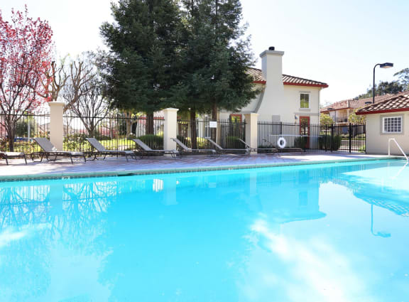 Lap Pool