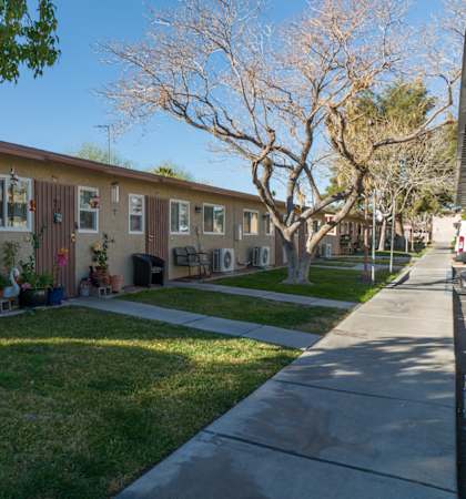 A sunny day at a residential area with houses and trees.
