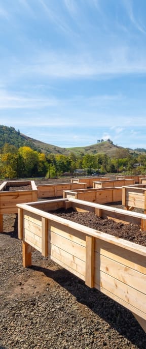 a row of raised garden beds in a field
