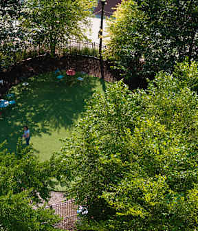people swimming in a pool of water in a park