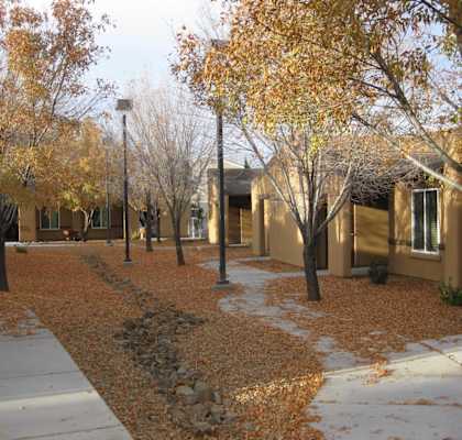 A row of houses with trees in front of them.