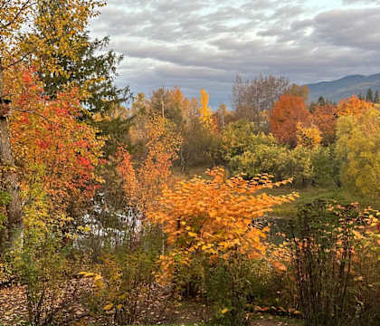 a reflection of autumn trees and clouds in a pond