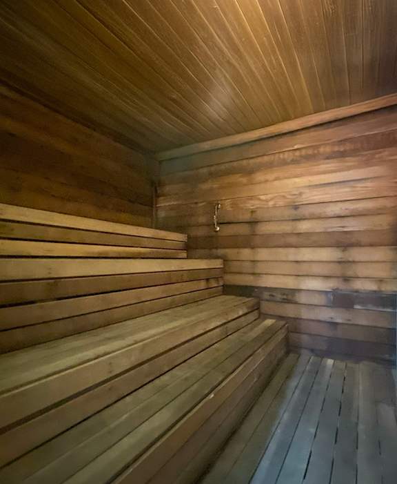 A wooden sauna with a bench and a door.