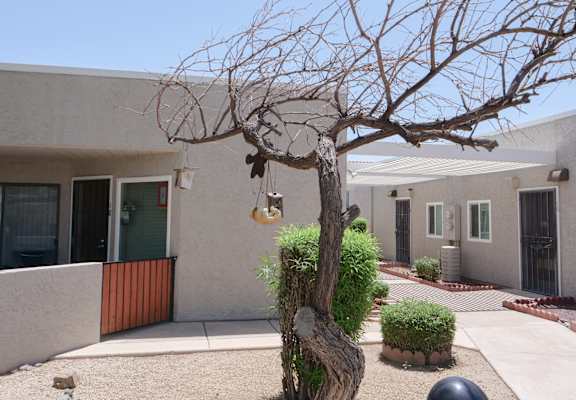 A tree with hanging planters in front of a building.