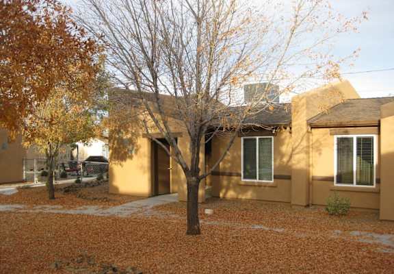 A tree with orange leaves in front of a tan house.