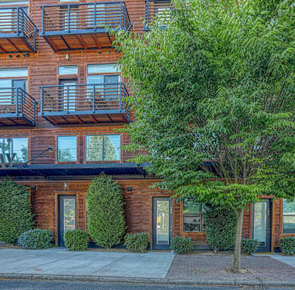 a tree in front of a brick apartment building