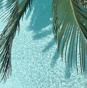 Palm leaves over a blue pool.