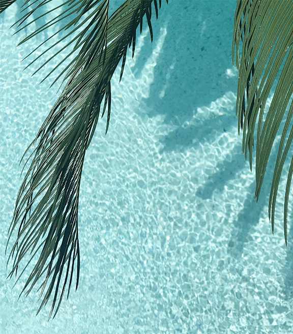 Palm leaves over a blue pool.