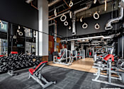 Thumbnail 7 of 8 - A gym with a variety of equipment including weights and cardio machines.
