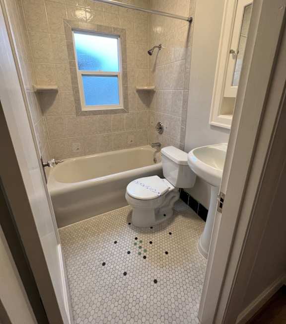 a bathroom with a shower and a toilet