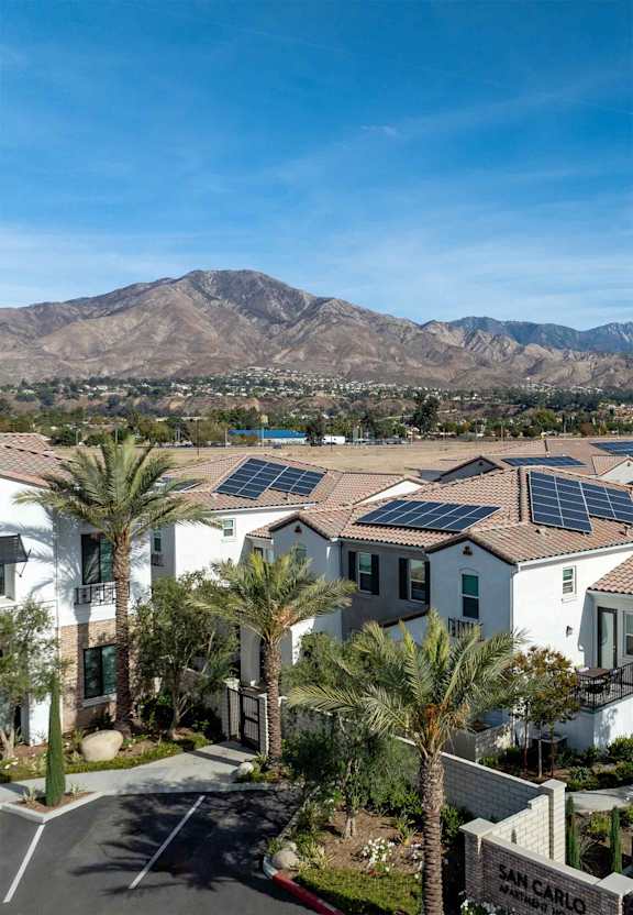 A mountain is in the background of a residential area with houses and palm trees.