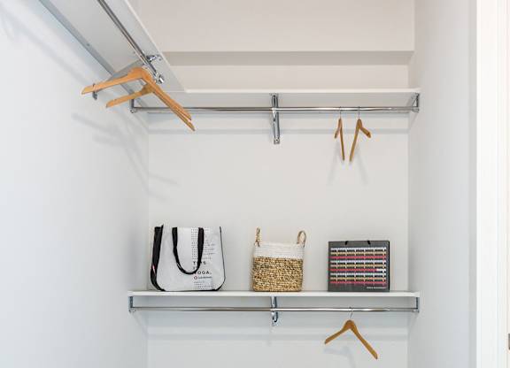 Large Closet at Viridian on Sheridan, Illinois