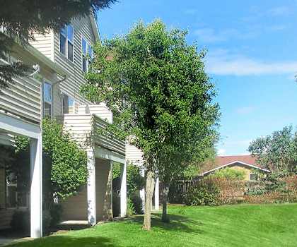 a house with a green lawn and trees next to it at Quail Run Apartments, Vancouver, 98684