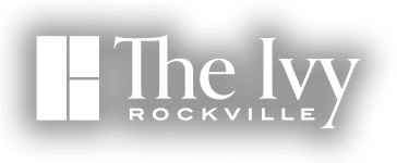 The Ivy Rockville