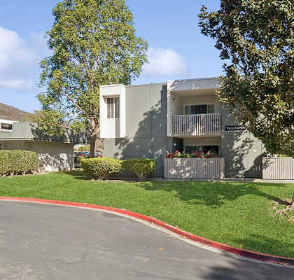 Trees outside Fairfield Residential logo