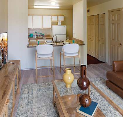 Living room at Paradise Oaks apartments in Austin TX