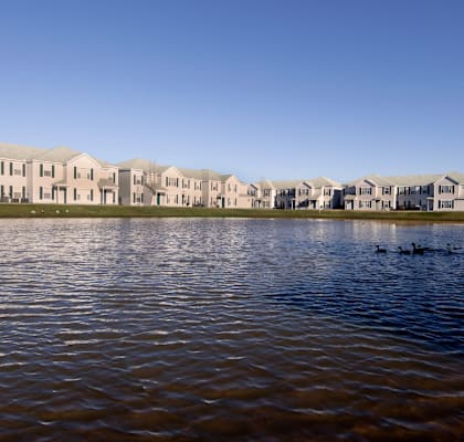 a pond with ducks in front of a row of apartment buildings