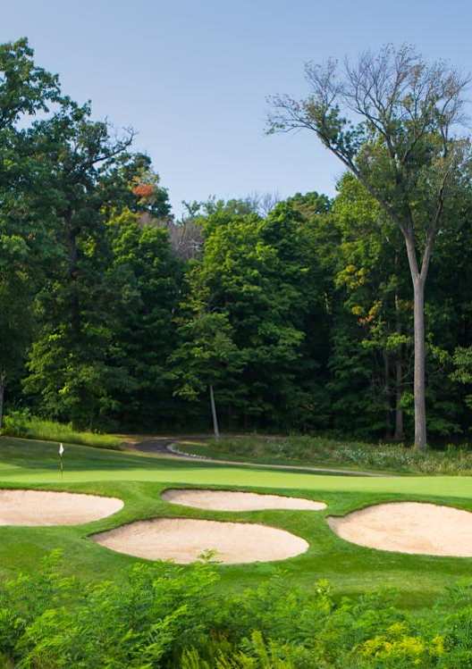 A golf course with green grass and trees in the background.