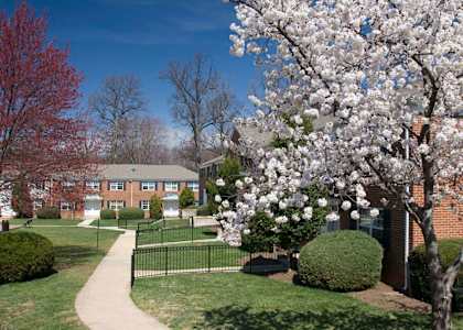 Kingsley Commons Townhouses Property Vista